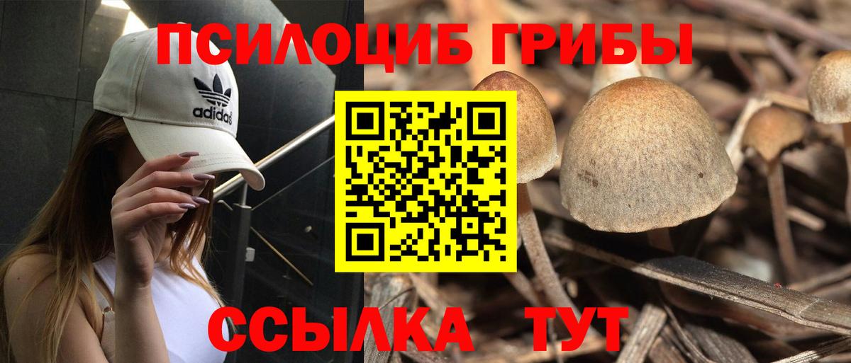 Псилоцибиновые грибы ЛСД Кстово