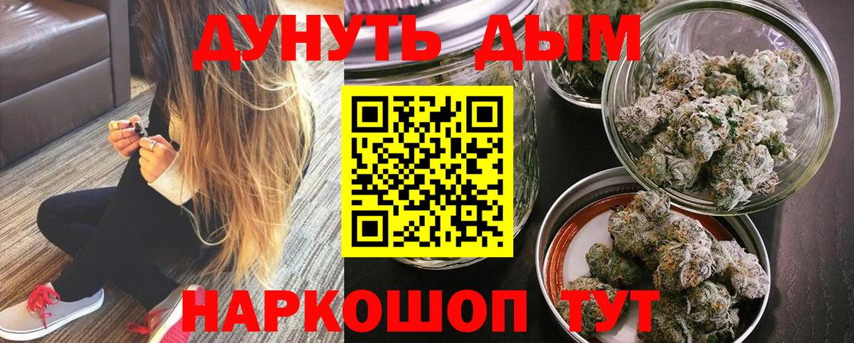 Бошки Шишки планчик Кстово
